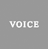 Voice